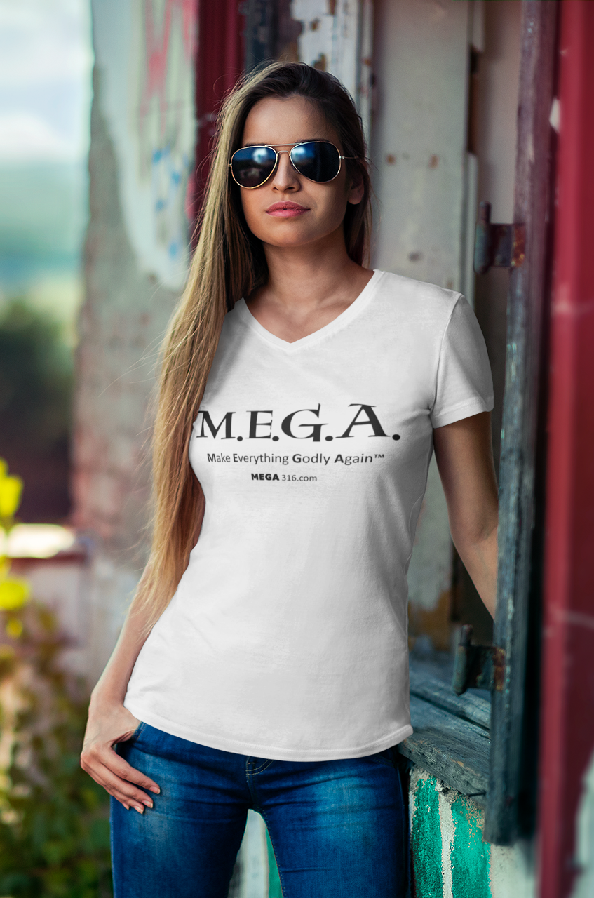 Unisex Jersey Short Sleeve V-Neck Tee LOGO