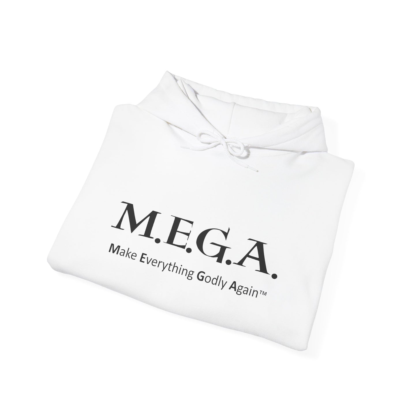 Unisex Heavy Blend™ Hooded Sweatshirt NO Website LOGO