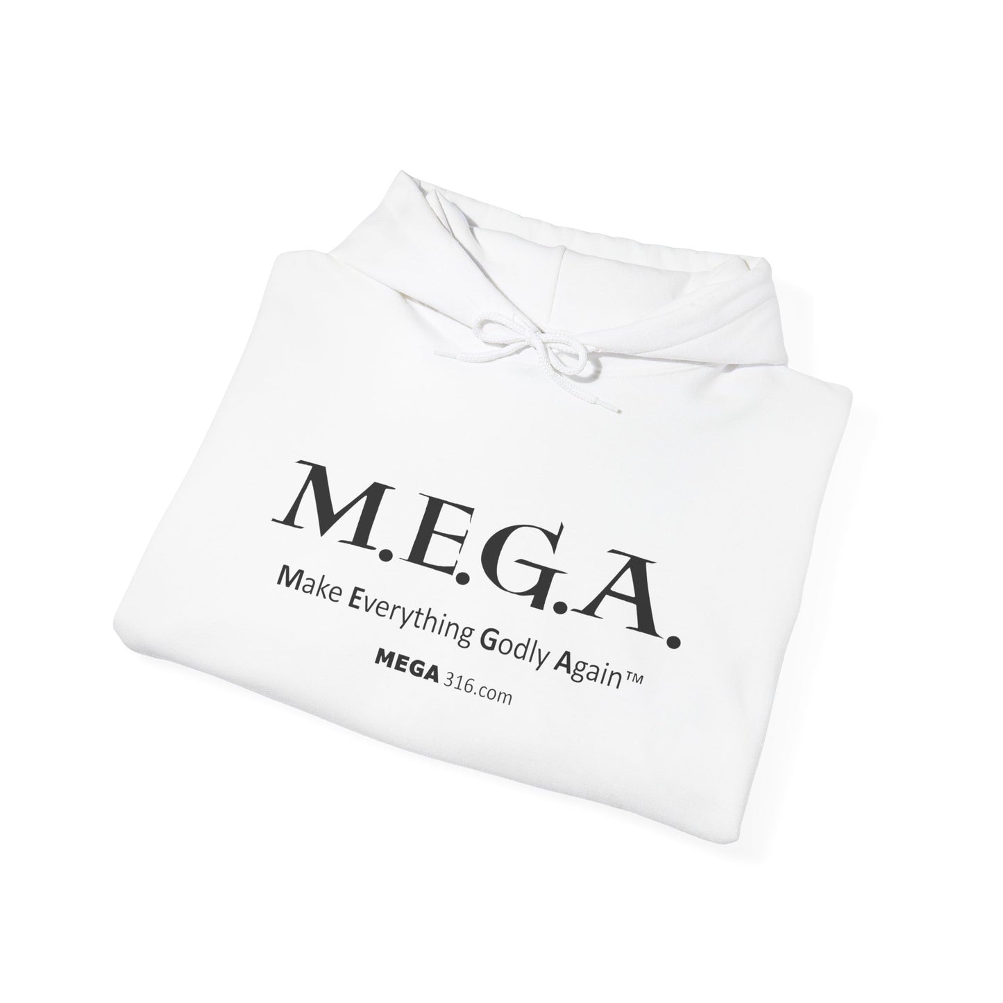 Unisex Heavy Blend™ Hooded Sweatshirt With Website LOGO