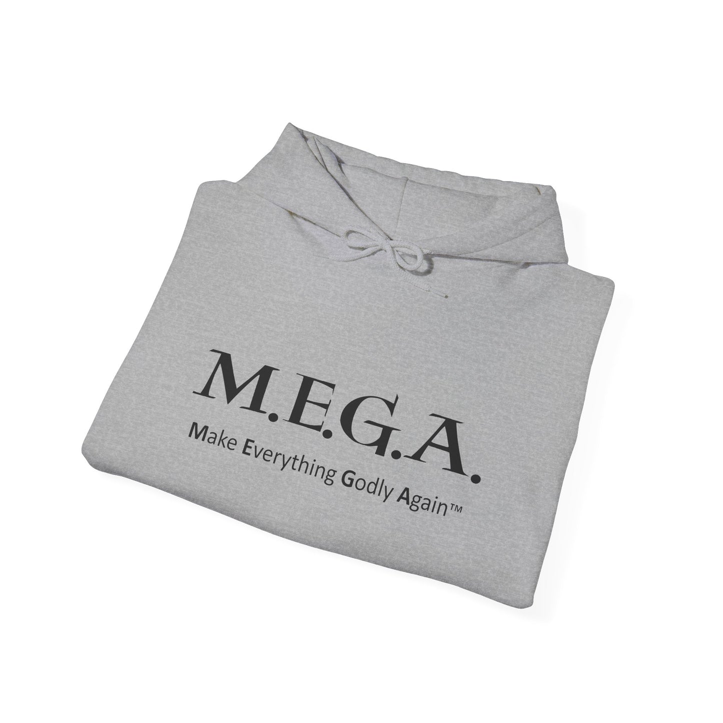Unisex Heavy Blend™ Hooded Sweatshirt NO Website LOGO