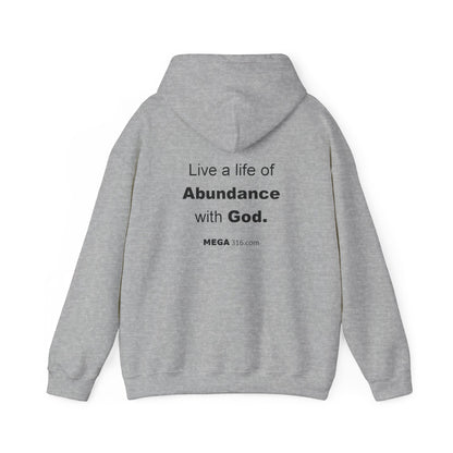 Unisex Heavy Blend™ Hooded Sweatshirt Abundance MSG